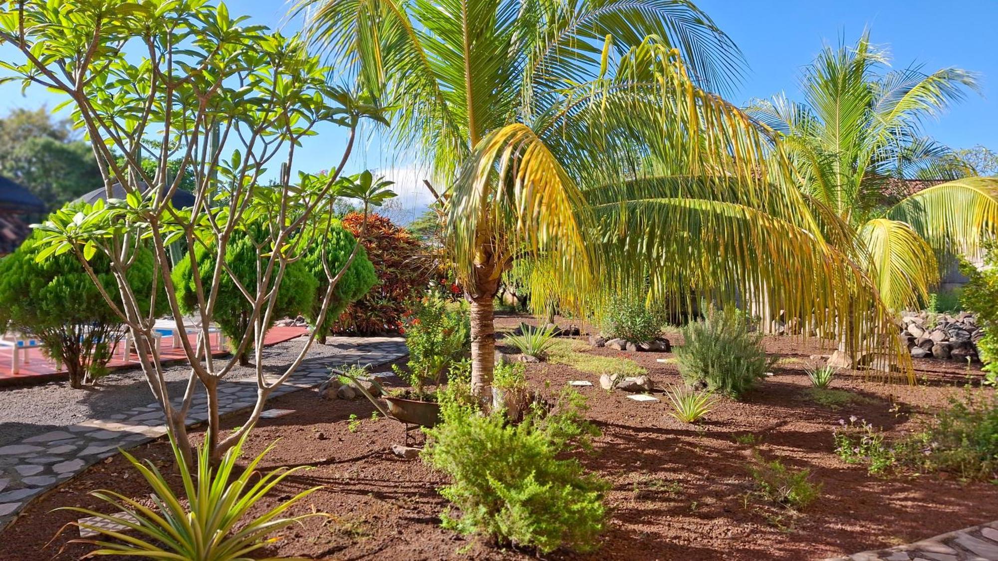 Hotel Jardin Garden De Granada Nicaragua エクステリア 写真