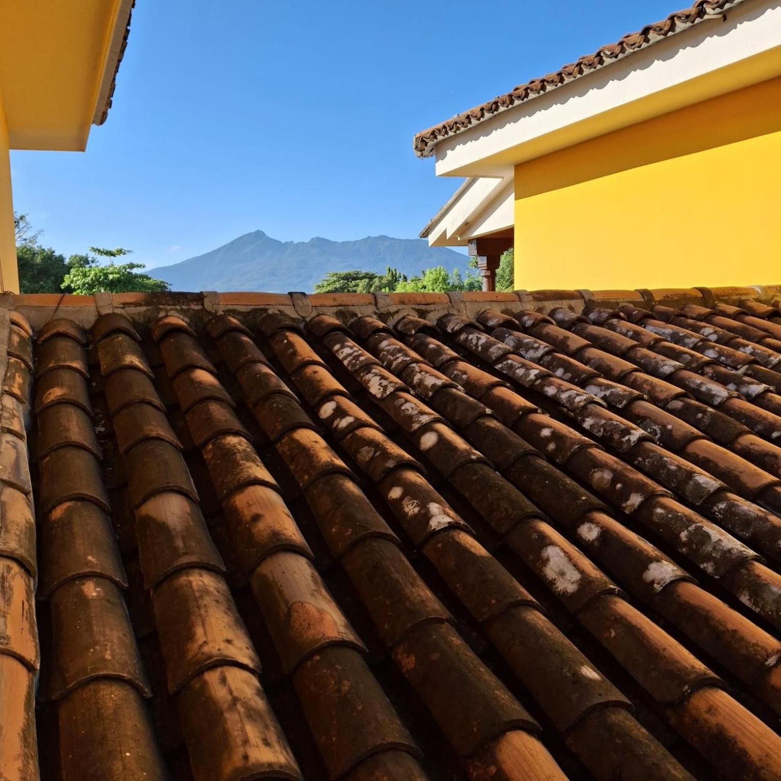 Hotel Jardin Garden De Granada Nicaragua エクステリア 写真