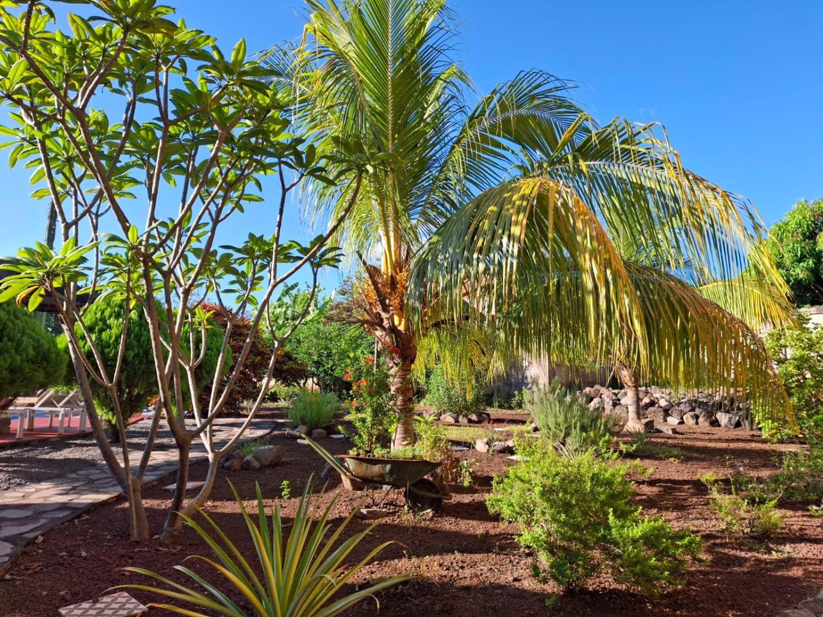 Hotel Jardin Garden De Granada Nicaragua エクステリア 写真