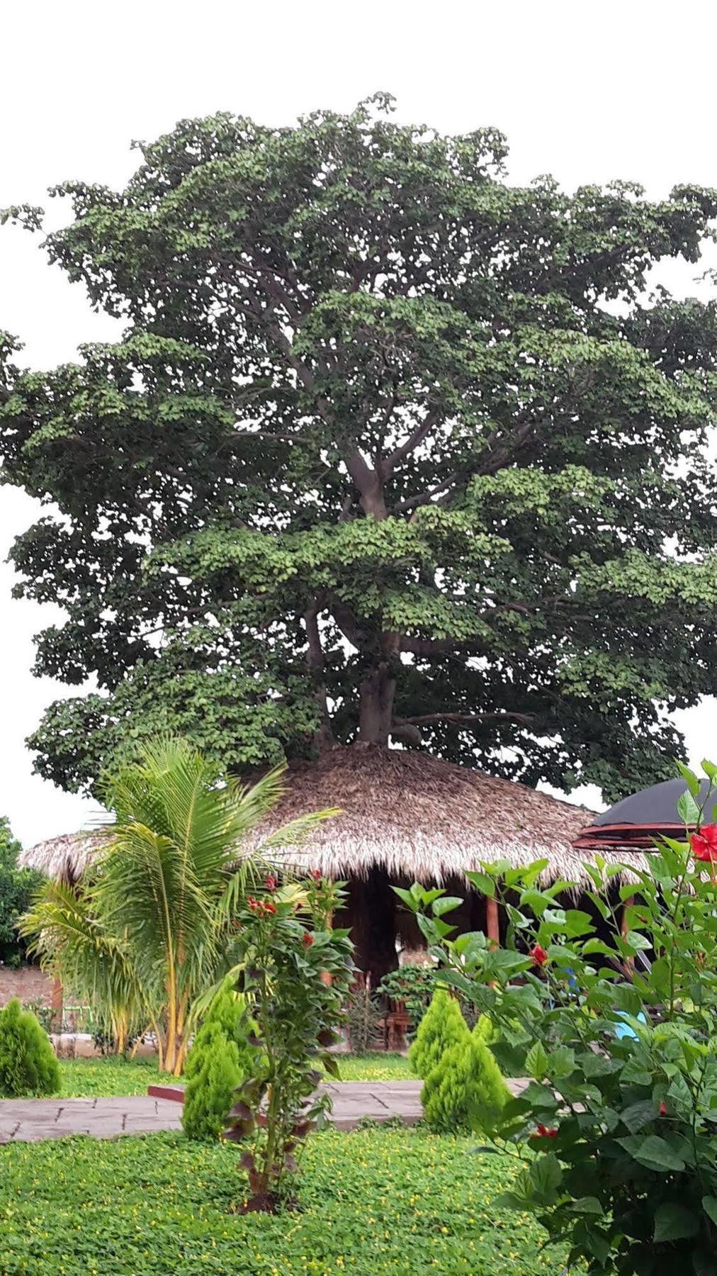 Hotel Jardin Garden De Granada Nicaragua エクステリア 写真