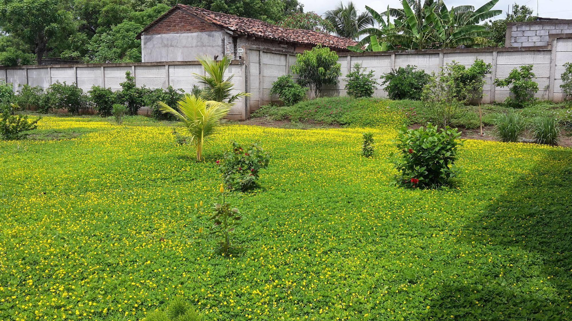 Hotel Jardin Garden De Granada Nicaragua エクステリア 写真
